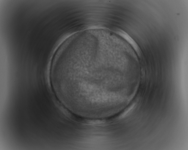 X0000092081002200710031133