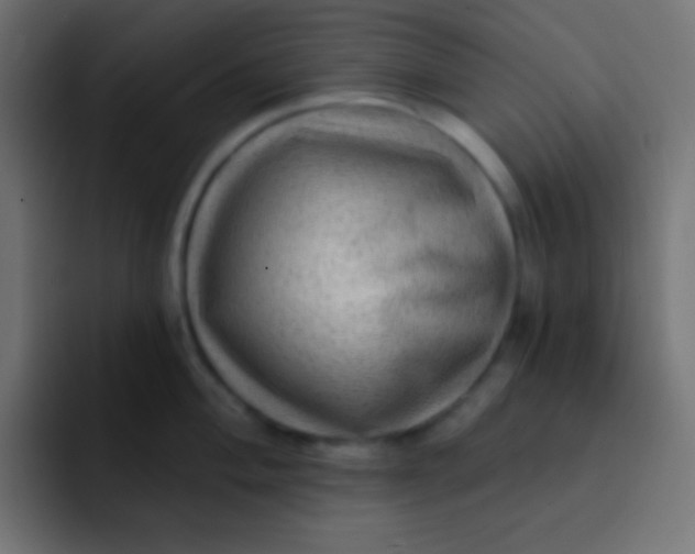 X0000092081004200710031133