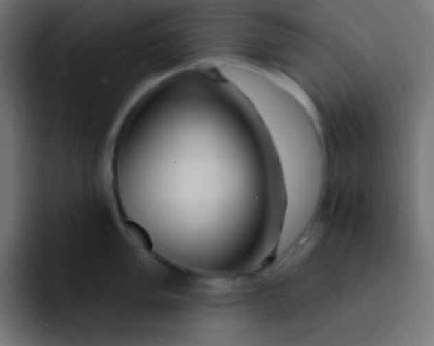 X0000092081005200710031133