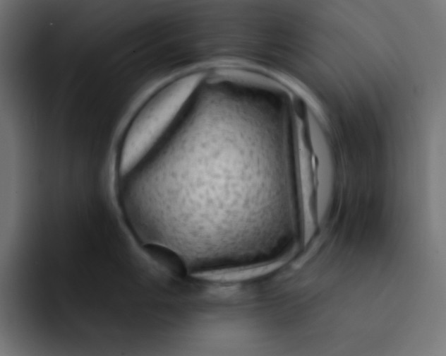 X0000092081006200710031133