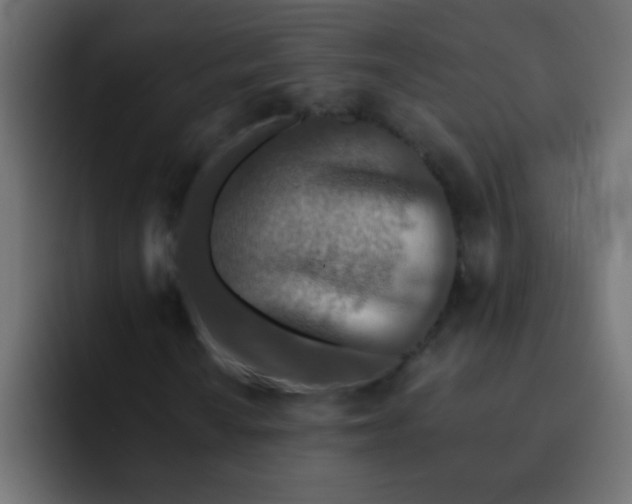 X0000092081010200710031132