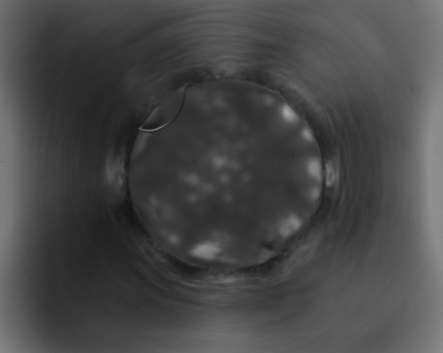 X0000092081011200710031132