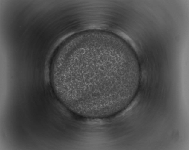 X0000092081019200710031132