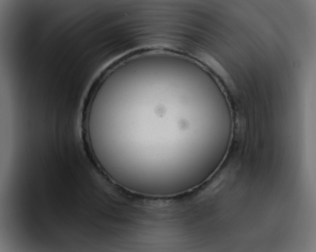 X0000092081020200710031132