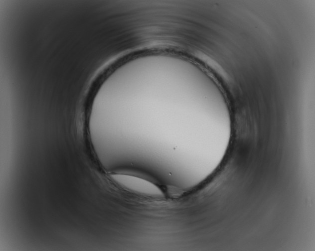 X0000092081021200710031132