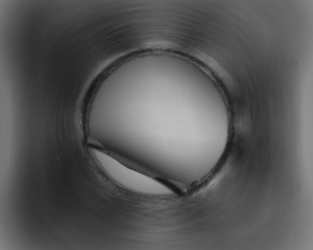 X0000092081022200710031132