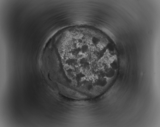 X0000092081023200710031132