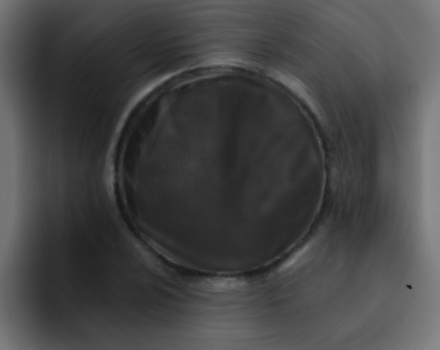 X0000092081024200710031132