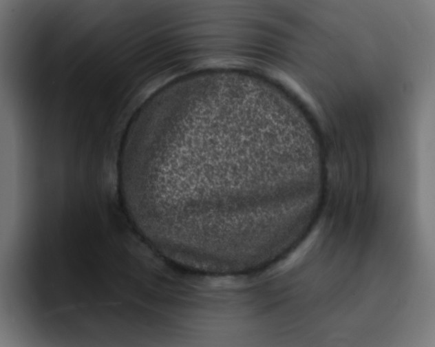 X0000092081025200710031132