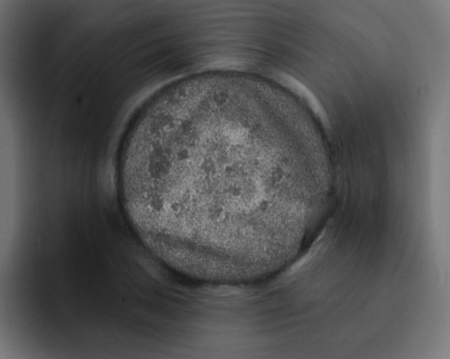 X0000092081027200710031133