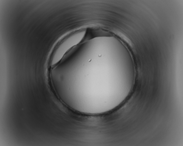 X0000092081029200710031133