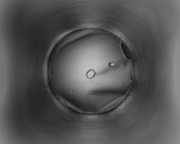 X0000092081030200710031133