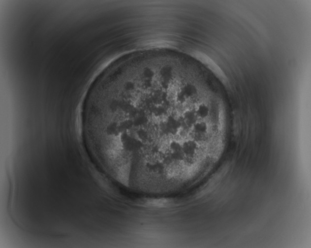 X0000092081031200710031133