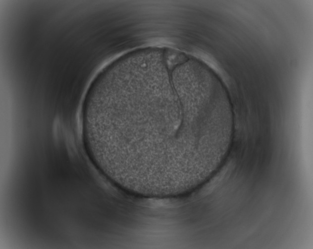 X0000092081032200710031133