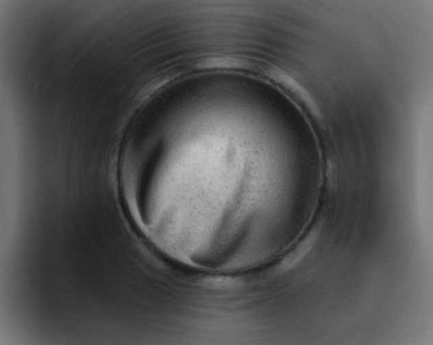 X0000092081033200710031133