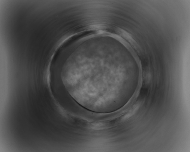 X0000092081034200710031133