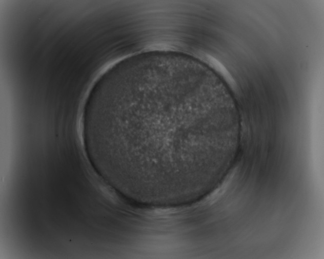 X0000092081035200710031133