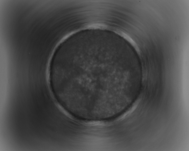 X0000092081037200710031133