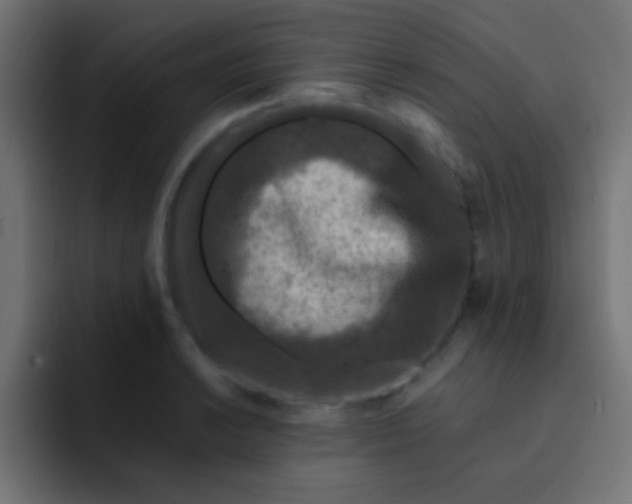 X0000092081038200710031133