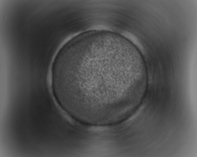 X0000092081040200710031133