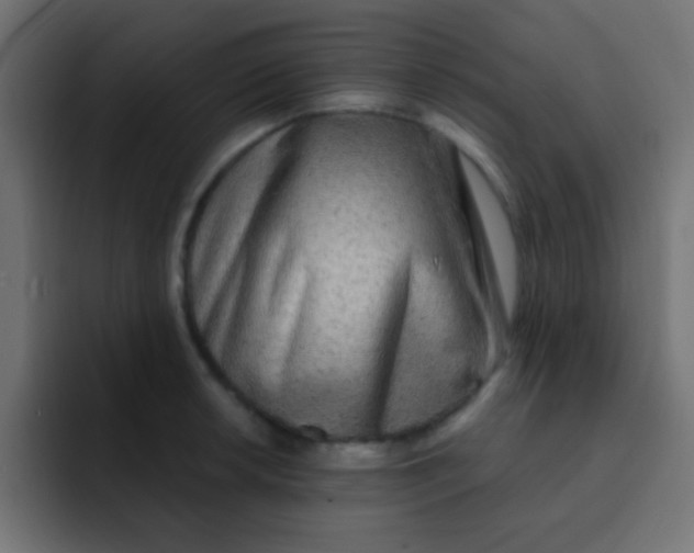 X0000092081042200710031133