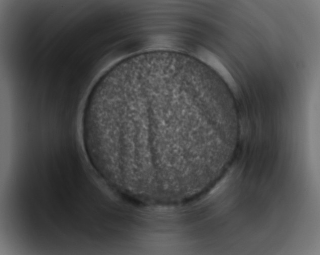 X0000092081043200710031133