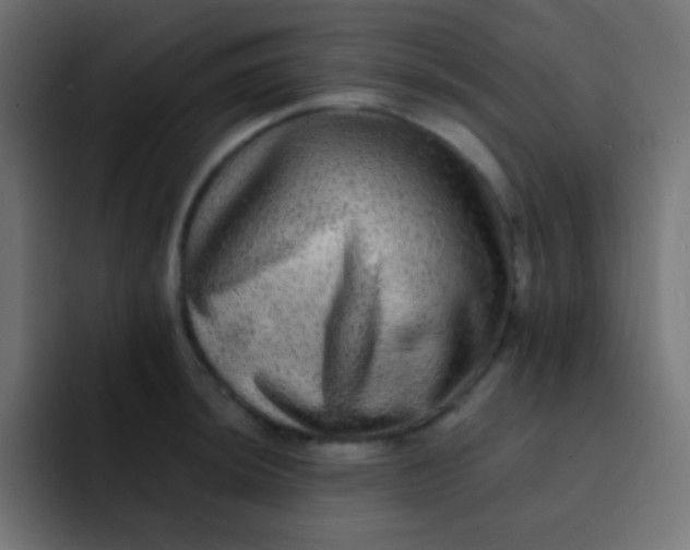 X0000092081044200710031133