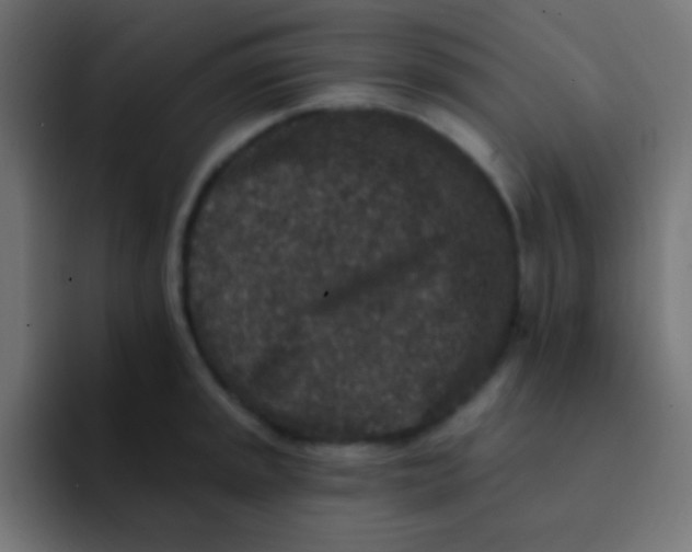 X0000092081045200710031133