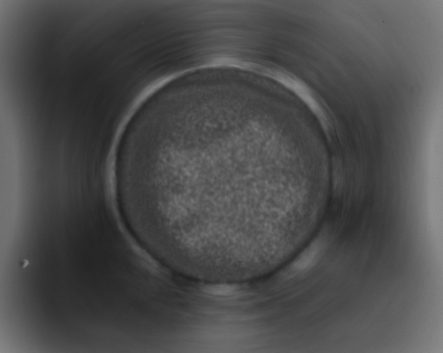 X0000092081048200710031133