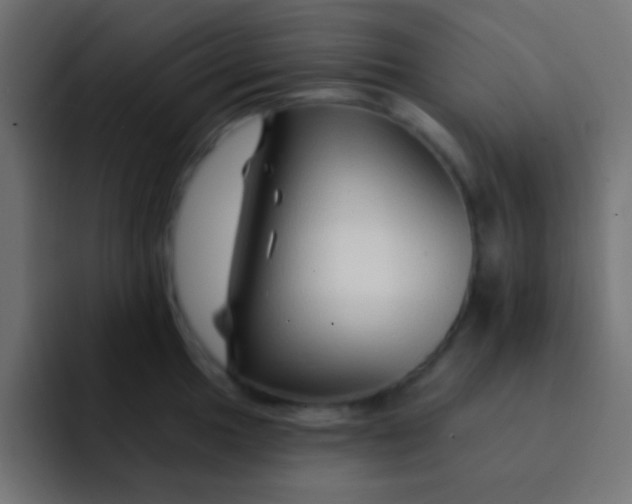 X0000092081049200710031133