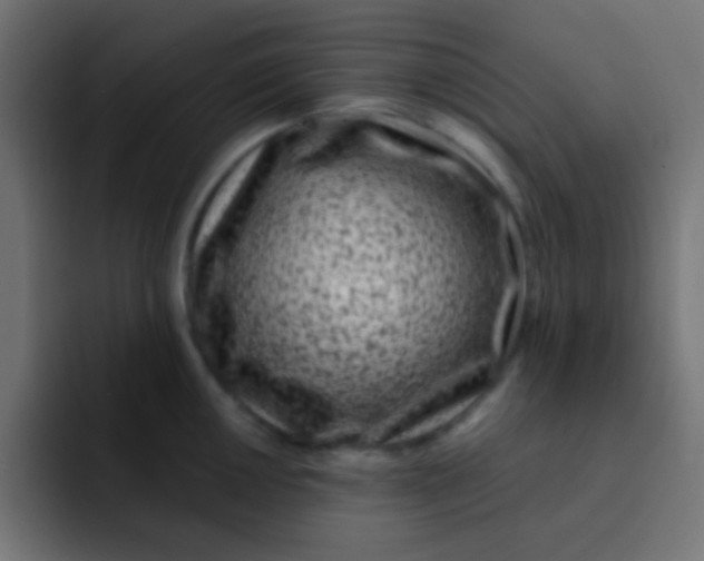 X0000092081050200710031133