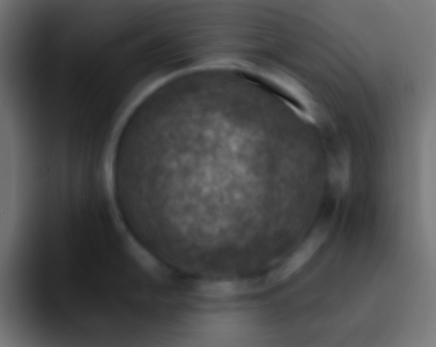 X0000092081054200710031133