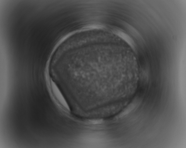 X0000092081055200710031133