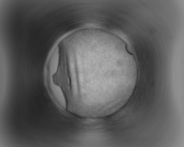 X0000092081056200710031133