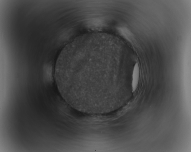 X0000092081060200710031132