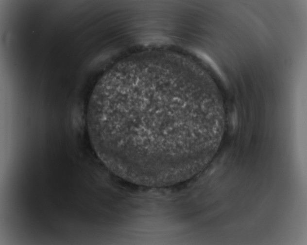 X0000092081063200710031132