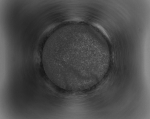 X0000092081064200710031132