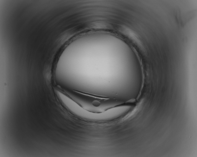 X0000092081065200710031132