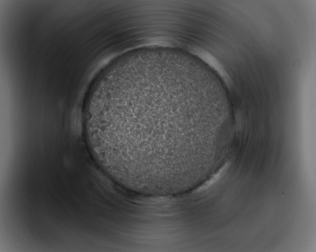 X0000092081067200710031132