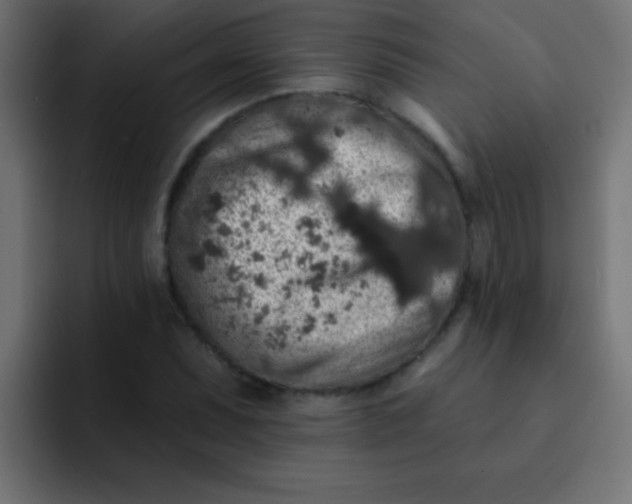 X0000092081071200710031132