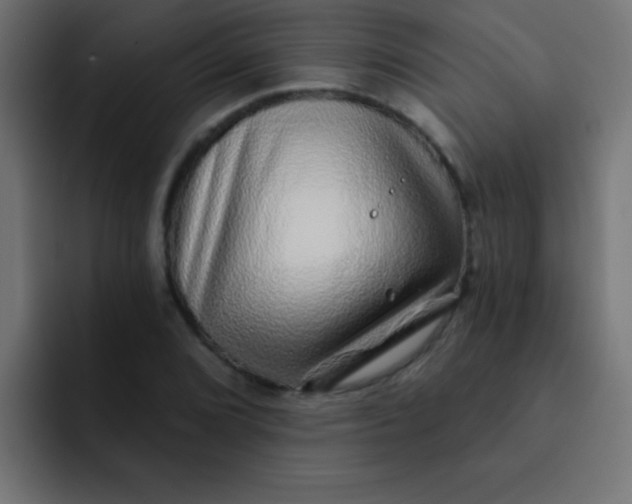 X0000092081072200710031132