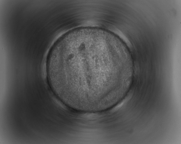 X0000092081075200710031132