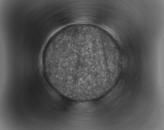 X0000092081078200710031132