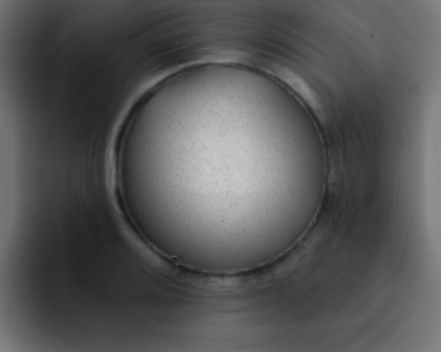 X0000092081080200710031132