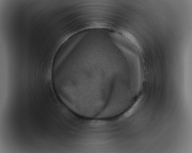 X0000092081081200710031132