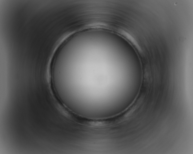 X0000092081082200710031132