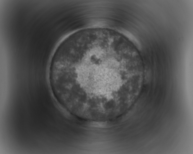 X0000092081086200710031132