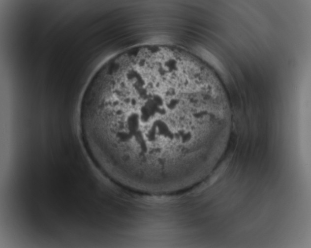 X0000092081087200710031132