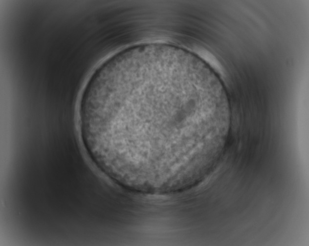 X0000092081088200710031132