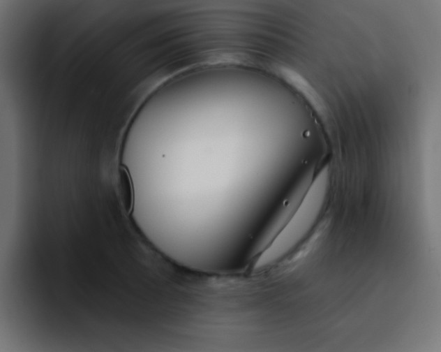 X0000092081089200710031132